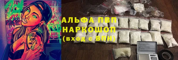 прущие грибы Абдулино