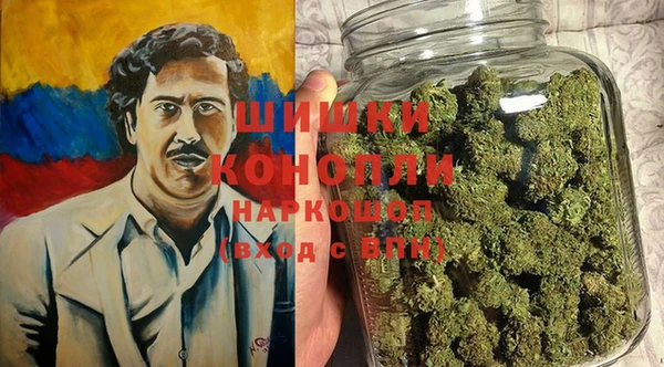 прущие грибы Абдулино