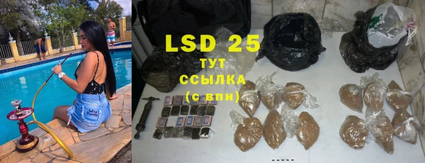 прущие грибы Абдулино