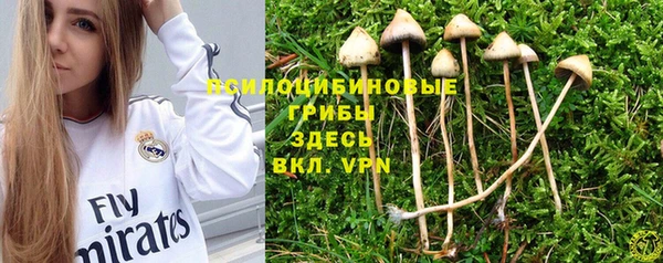хмурый Абинск